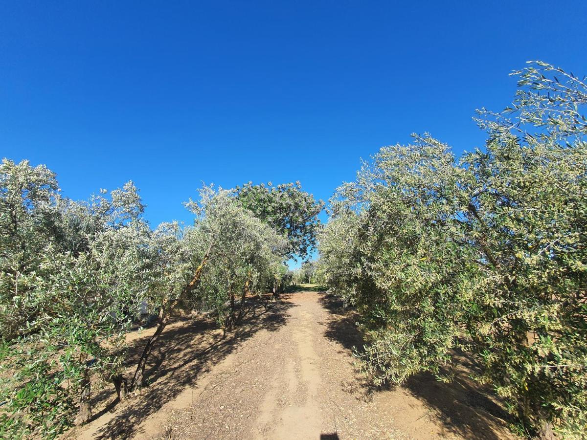 Villaluna Marchena Buitenkant foto