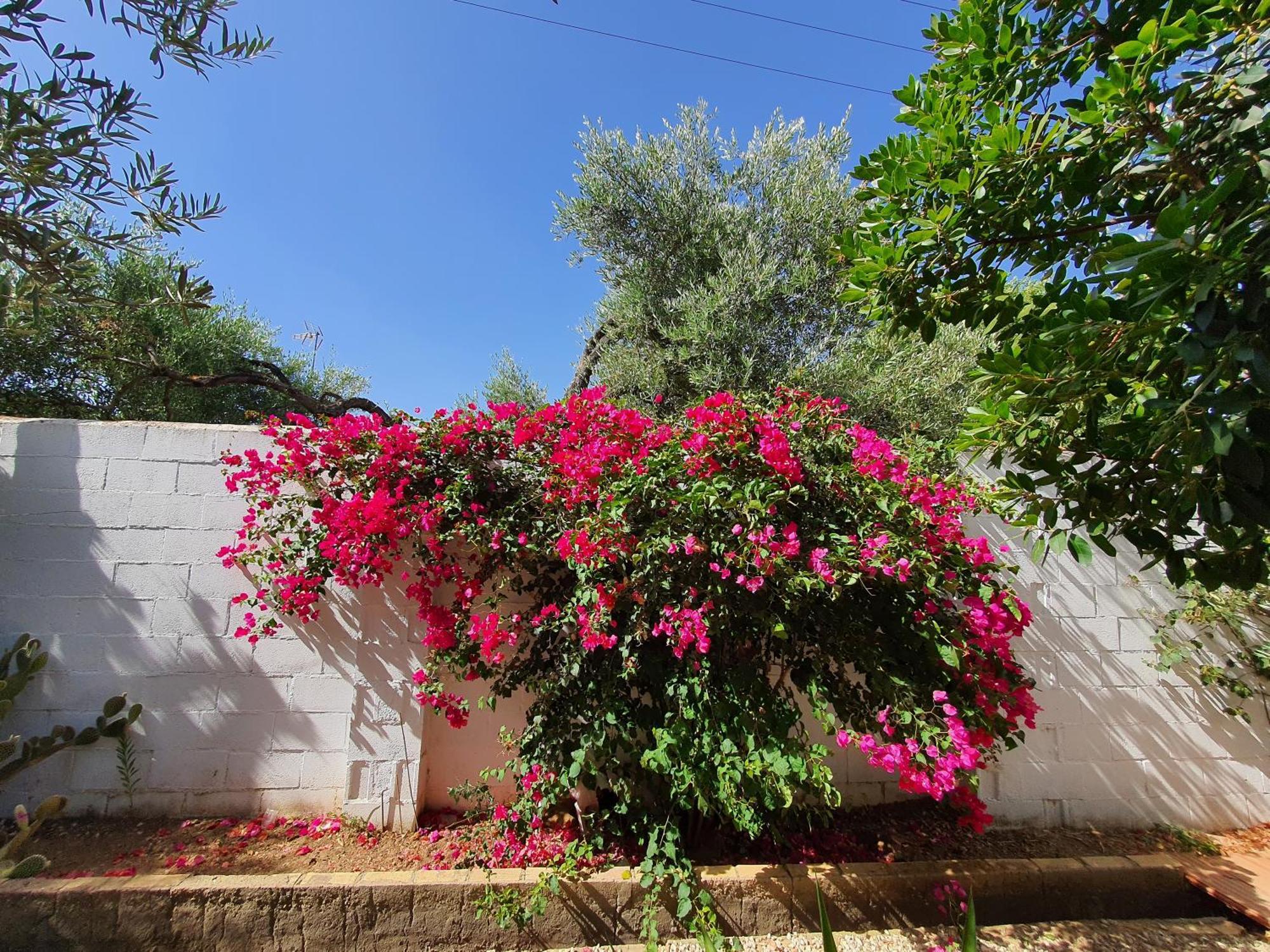 Villaluna Marchena Buitenkant foto